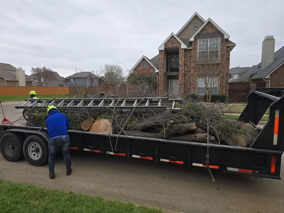 Expert Tree Fertilization with proper safety equipment in Scobey